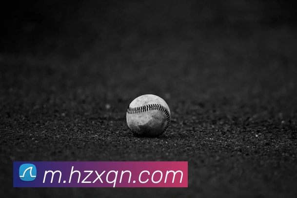 爱游戏体育app官方网站平台生态图