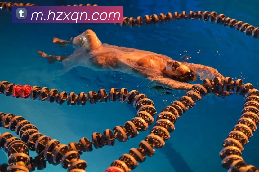 数据防护可视化